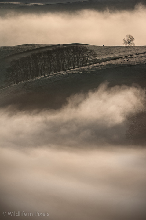 Peak District Landscape