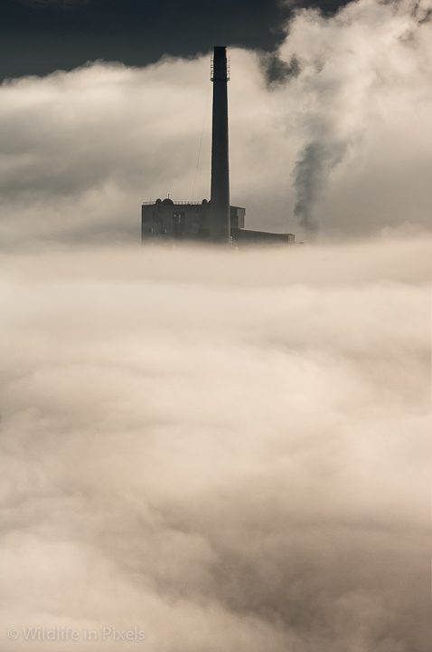 The Cloud Factory