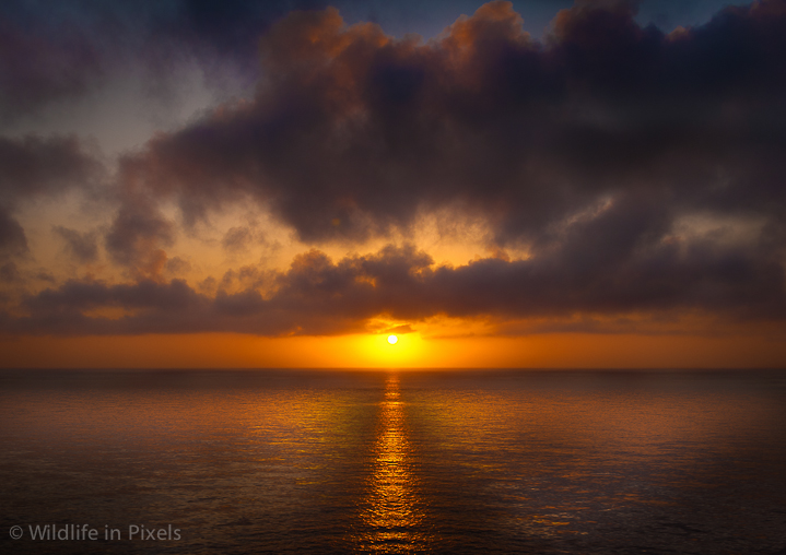 Skomer Sunset