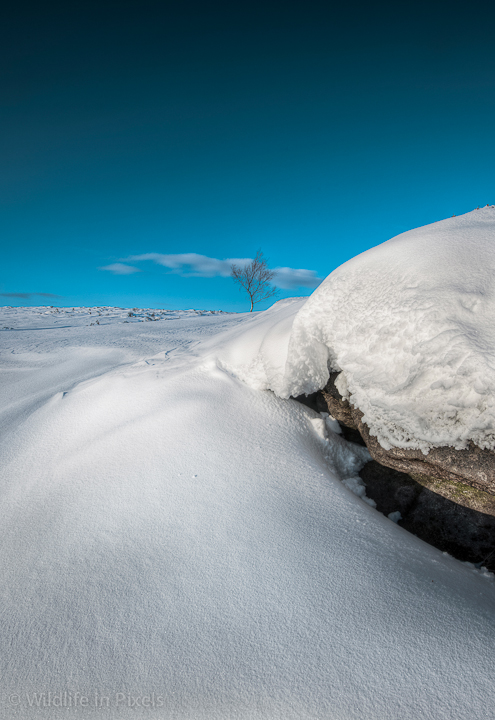 Snow Drift on Stanage Edge