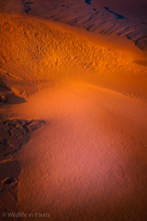 Snow Drift at Sunset.