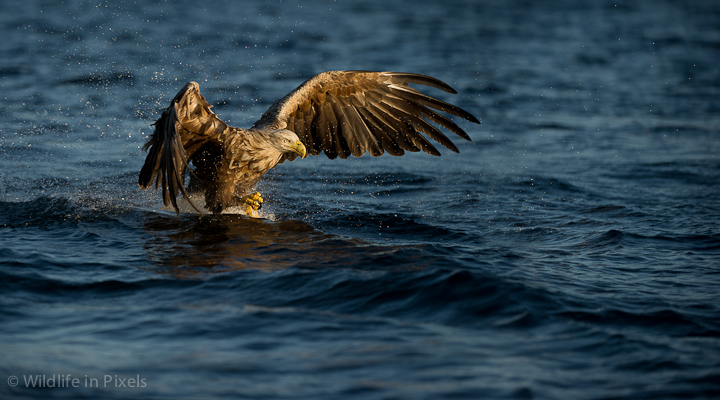 On Final Approach